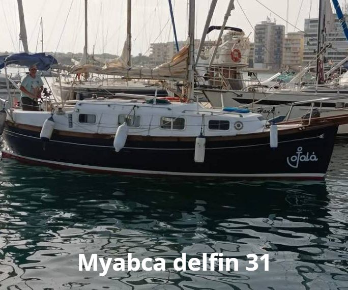 myabca-delfin-31-1